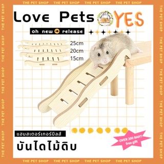 [HAMSTER TRAVEL] แฮมสเตอร์บันไดไม้หลีกเลี่ยงอุโมงค์ปีนไม้ของเล่นเบิร์ชสะพานโค้งหลุมต้นไม้ชั้นหมวก TZ