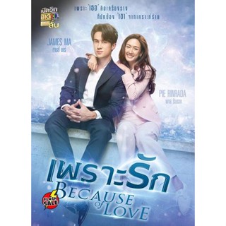 DVD ดีวีดี เพราะรัก (Because of Love) 18 ตอนจบ (เสียง ไทย | ซับ ไม่มี) DVD ดีวีดี