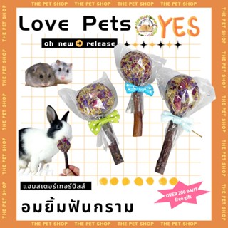 【HAMSTERTRAVEL】พร้อมส่ง!!หนูแฮมสเตอร์กัดฟันเลือกสินค้าแอปเปิ้ลกิ่งไม้ข้าวโพดหวานคุกกี้แกสบี้กระรอกกระต่ายโภชนาการสแน็BBT