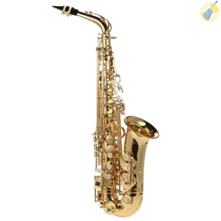 พร้อมส่ง ammoon Eb Alto แซกโซโฟน ทองเหลือง เคลือบสีทอง E Flat Sax 802 Key Type Woodwind Instrument พร้อมแปรงทําความสะอาด ผ้า ถุงมือ พร้อมสายคล้อง