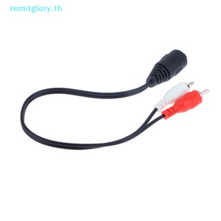 Remitglory สายเคเบิลเสียง 5 Pin Din Female เป็น 2 RCA Male Plug AMP เกรดมืออาชีพ สําหรับระบบสเตอริโอ Bang &amp; Olufsen Naim Quad TH