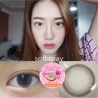 KittyKawaii Mini Soft Eff.14 Gray มินิ