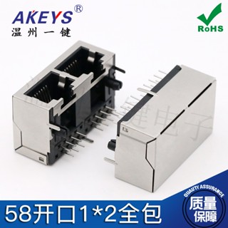 อินเตอร์เฟซเครือข่าย RJ45-5803 พอร์ตคู่ 10p8c รวมทุกอย่าง 1x2 อินเตอร์เฟซเครือข่ายแนวนอน USB พร้อมซ็อกเก็ต 10 ชิ้น