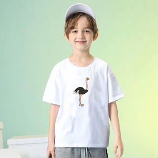 เสื้อยืดเด็ก Safari Animals ลายสัตว์น่ารักใส่ได้ทั้งเด็กชาย เด็กหญิง ผ้าCotton100% ใส่สบาย ระบายอากาศได้ดี (นกกระจอกเทศ)