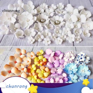 Chunrong แผ่นแม่แบบโลหะ ตัดลายดอกไม้ DIY สําหรับตกแต่งสมุด กระดาษ การ์ด อัลบั้ม รูปภาพ หัตถกรรม