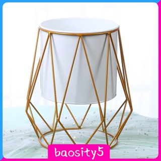 [Baosity5] ขาตั้งกระถางต้นไม้ แจกันดอกไม้ แบบโลหะ สไตล์โมเดิร์น สําหรับตกแต่งห้องนั่งเล่น