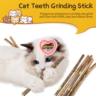 CYREAL 【 fast Delievery 】 Cat Molar Stick Mu Tianli ทำความสะอาดฟันเพื่อแกล้ง Cat Stick เพื่อบรรเทาความเบื่อจากอุปกรณ์แมวที่รักษาตัวเองของเล่นขนมแมว