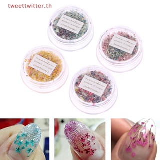 อุปกรณ์ตกแต่งเล็บ จี้ดอกไม้แห้ง 3D หลายสีสัน สําหรับตกแต่งเล็บ DIY TH