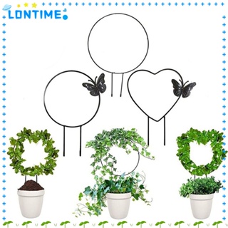 Lontime โครงไม้เลื้อย โลหะ กันสนิม สําหรับตกแต่งสวน