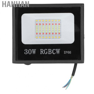 Hanhan RGB Flood Lights 30W APP Control IP66  Timing Settings Outdoor Smart