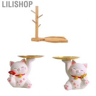 Lilishop Desktop Storage Decoration  Resin High Grade Porch Storage Ornaments Light Luxury Funny Shape  for Bedroom