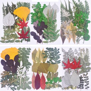 ขายดี ที่คั่นหนังสือ รูปใบไม้สีเขียว diy