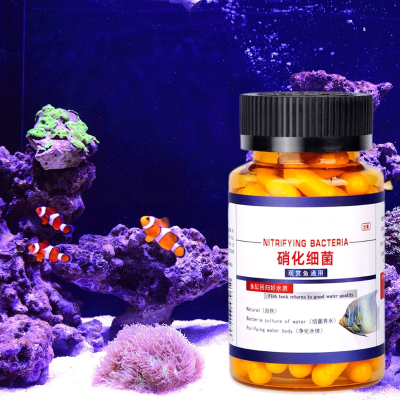 Fir Nitrifying สําหรับพิพิธภัณฑ์สัตว์น้ําน้ําจืดและน้ําเค็ม Decompose Feces