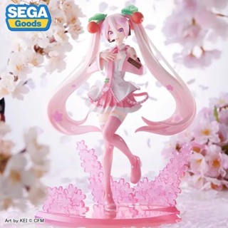 ฟิกเกอร์ SEGA 51648 Jingpin Figure Hatsune Miku Luminasta VOCALOID Sakura Hatsune 2023