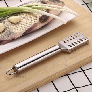[Fenteer1] ที่ขูดเกล็ดปลา สเตนเลส สําหรับร้านอาหาร