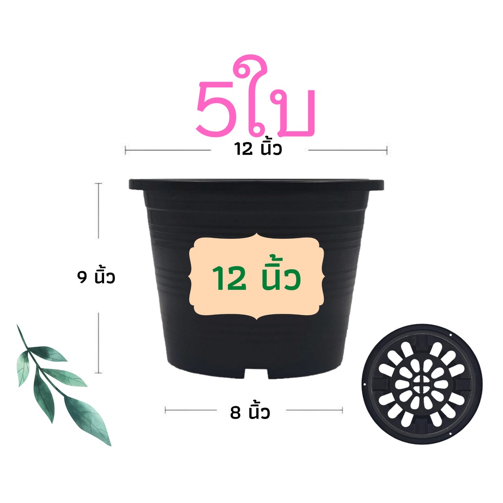 กระถางต้นไม้พลาสติก กระถางต้นไม้ กระถาง สีดำ สีขาว 12 นิ้ว 5ใบ ราคาส่ง