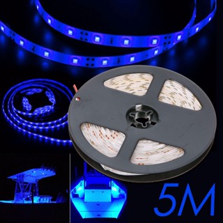 สายไฟ 3528 300LED 60LED/M กันน้ํา สีฟ้า ยาว 5 เมตร สําหรับรถยนต์ เรือ