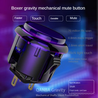 Qanba HITBOX ปุ่มกดรีโมตคอนโทรล KS 30 24 มม. Y3JH