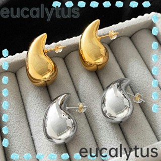 Eucalytus1 ต่างหูสตั๊ด รูปหยดน้ํา น้ําหนักเบา กันแพ้ สีเงิน สําหรับผู้หญิง