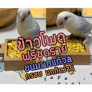 Bird Feed Freeze Dried Corn ข้าวโพดฟรีซดราย ขนมนก กรอบ นกกัดง่าย โดยเฉพาะนกขนาดเล็ก ขนมนกแก้ว อาหารนก