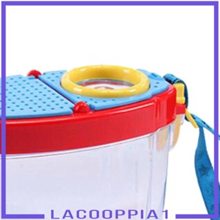 [Lacooppia1] กล่องสังเกตผีเสื้อ DIY สําหรับเดินทางกลางแจ้ง