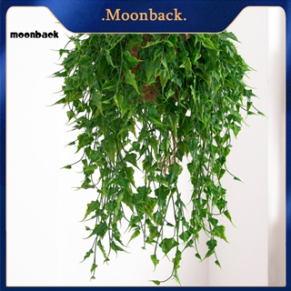 &lt;moonback&gt; พืชปลอม หวายเทียม ไม่ซีดจาง สําหรับแขวนตกแต่งผนังห้องนั่งเล่น