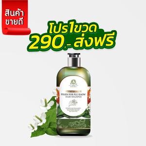 🌿แชมพูพญายอ 1 🌱 Cream ยาทาแก้ผื่นคัน น้ำเหลืองไม่ดี ขาลาย ครีมสมุนไพรแท้ 💯แชม1