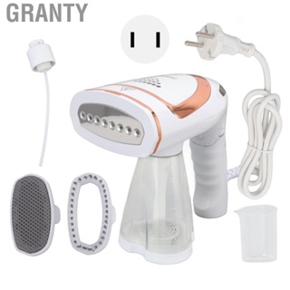 Granty Home Portable Iron  Portable Hanging Ironing Machine Deep Penetration ABS 1600W  for Travel