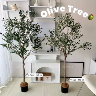 [พร้อมส่ง] ต้นมะกอกปลอม สูง 1.2 1.5 1.8 เมตร (Artificial Olive Tree) ต้นไม้ปลอม