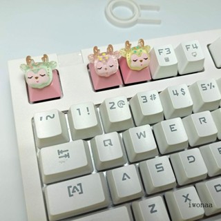 Iwo ปุ่มกดคีย์บอร์ด PBT R4 OEM Profile 1 ชิ้น