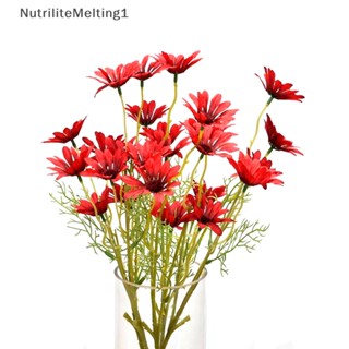 [NutriliteMelting1] ดอกคาโมมายล์ประดิษฐ์ ดอกเดซี่ 5 หัว สําหรับตกแต่งบ้าน งานแต่งงาน [TH]