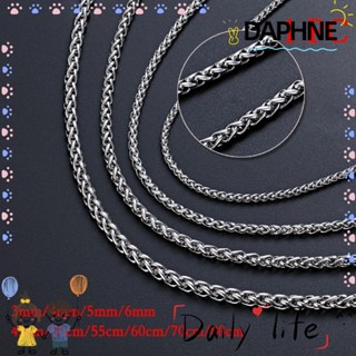 DAPHNE โซ่ถัก 3/4/5/6 มม. สีเงิน พังก์ โกธิค โช้คเกอร์ เชื่อมโยงหนัก