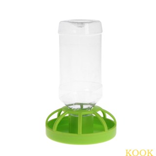 Kook 2-in-1 ชามใส่อาหารสัตว์เลื้อยคลาน สําหรับตุ๊กแก เต่า