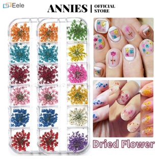 ANNIES แผ่นแปะเล็บ 12 สี ดอกไม้แห้ง ลูกไม้คริสตัล สีตกแต่งสามมิติ ↑Eele