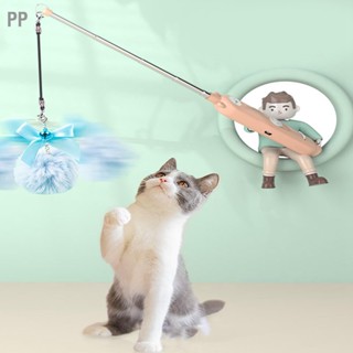 PP Cat Laser Pointer ปากกาของเล่น Double Head Retractable Rod หลายรูปแบบเปลี่ยนได้แบบพกพาลูกแมวปากกาเลเซอร์