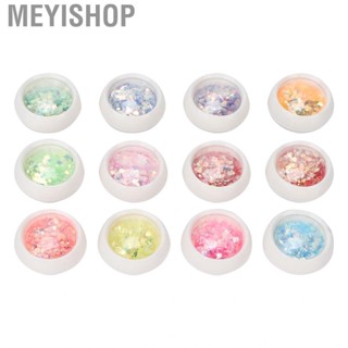 Meyishop Nail Accessories  12 Boxes Glitter Sequins Art Flakes Colors Holographic for Body Salon Use Home Women