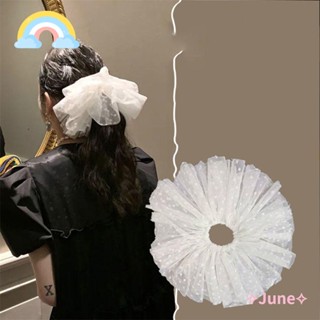 June Scrunchies ตาข่ายมัดผมหางม้า ขนาดใหญ่