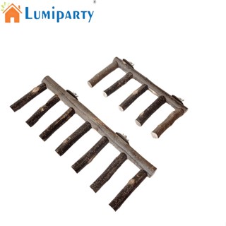 Lumiparty ของเล่นบันไดไม้ ขนาดเล็ก สําหรับนกแก้ว