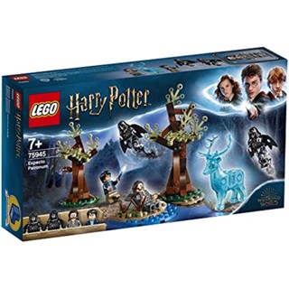 LEGO Harry Potter Guardian, Come 75945 Block Toy Boys[Direct from Japan]