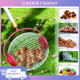 Nut Gatherer ผลไม้สะสม Garden Rolling Nut Harvester ผลไม้ Picker สำหรับหยิบวอลนัท Nut Chestnut Pickup