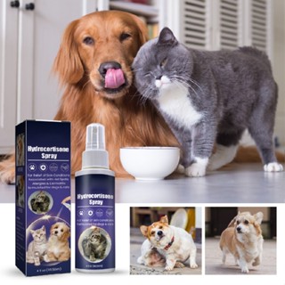 New Hydrocortisone Spray Pet Anti Itching Spray For Dogs and Cats