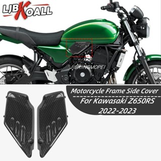 พร้อมส่ง ฝาครอบแผงด้านข้าง คาร์บอนไฟเบอร์ สําหรับ Kawasaki Z650RS 2022-2023