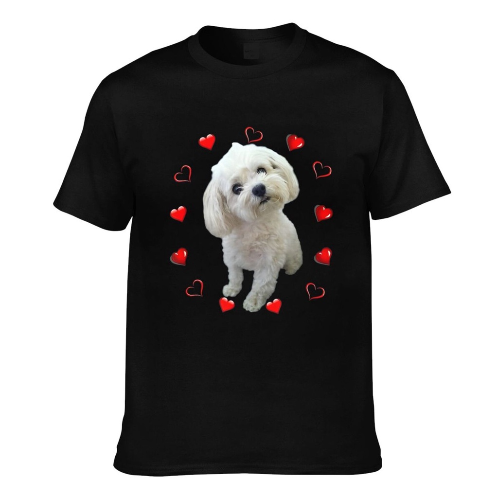 Maltese Dog Lover Puppy Owner Maltipoo Mix Fans เสื้อยืดแปลกใหม่ Hearts