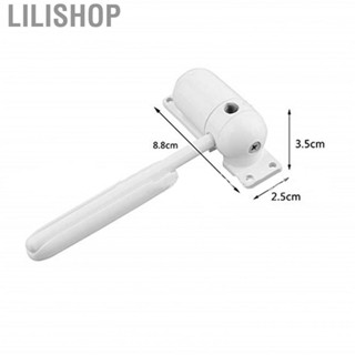 Lilishop Automatic Door Closer Metal Mini Low Noise Hidden Spring for Residence