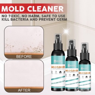 ღ สเปรย์กำจัดเชื้อราในครัวเรือน เฟอร์นิเจอร์ พื้นกระเบื้อง Quick Mold Removal Cleaner Mold Cleaner Spray Mould Proof Cleaner Wall Anti-mold