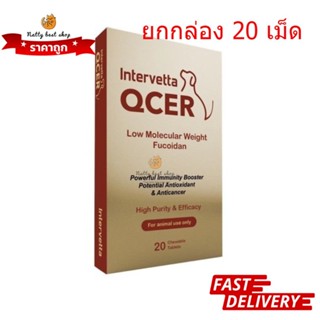 Qcer ยกกล่อง อาหารเสริมต่อต้านมะเร็ง เสริมภูมิคุ้มกัน สุนัขแมวกระต่าย EXP10/2024