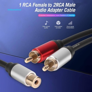 Rca สายสัญญาณเสียงโลหะ 2 ตัวผู้ เป็น 1 RCA ตัวเมีย Y แยกสายเคเบิล สําหรับเครื่องขยายเสียงรถยนต์ ลําโพงสเตอริโอ อะแดปเตอร์ซับวูฟเฟอร์