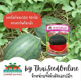 ADV กป 40 กรัม เมล็ดพันธุ์ แตงโม วันนา503 40กรัม ตราตะวันต้นกล้า