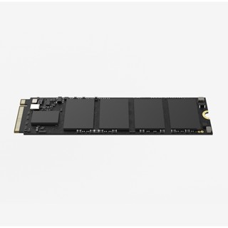 256 GB SSD (เอสเอสดี) HIKSEMI E1000 PCIe/NVMe M.2 2280 (HS-SSD-E1000 256G)