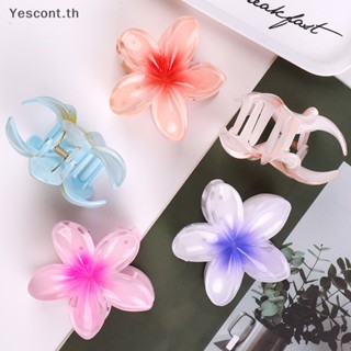 Yescont กิ๊บติดผม ลายดอกไม้น่ารัก หวานแหวว แฟชั่นสําหรับผู้หญิง Frangipani TH